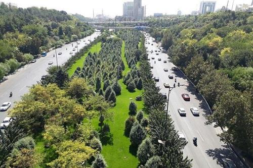 کاشت گیاهان مثمر در فضای شهری، لطمه زا است؟