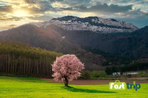 سفر در بهار طبیعت