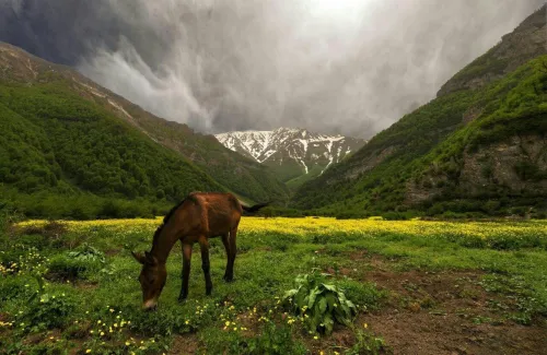 در فصل گرما به کجا سفر کنیم؟